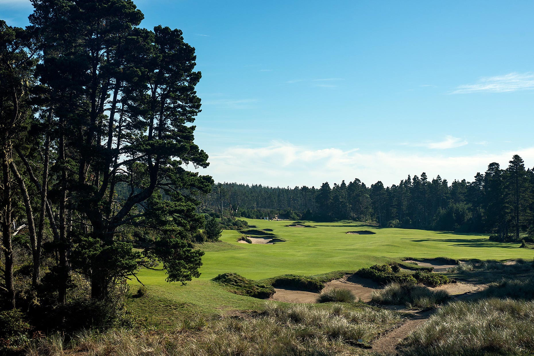 141108_Bandon_Trails_3rd_hole