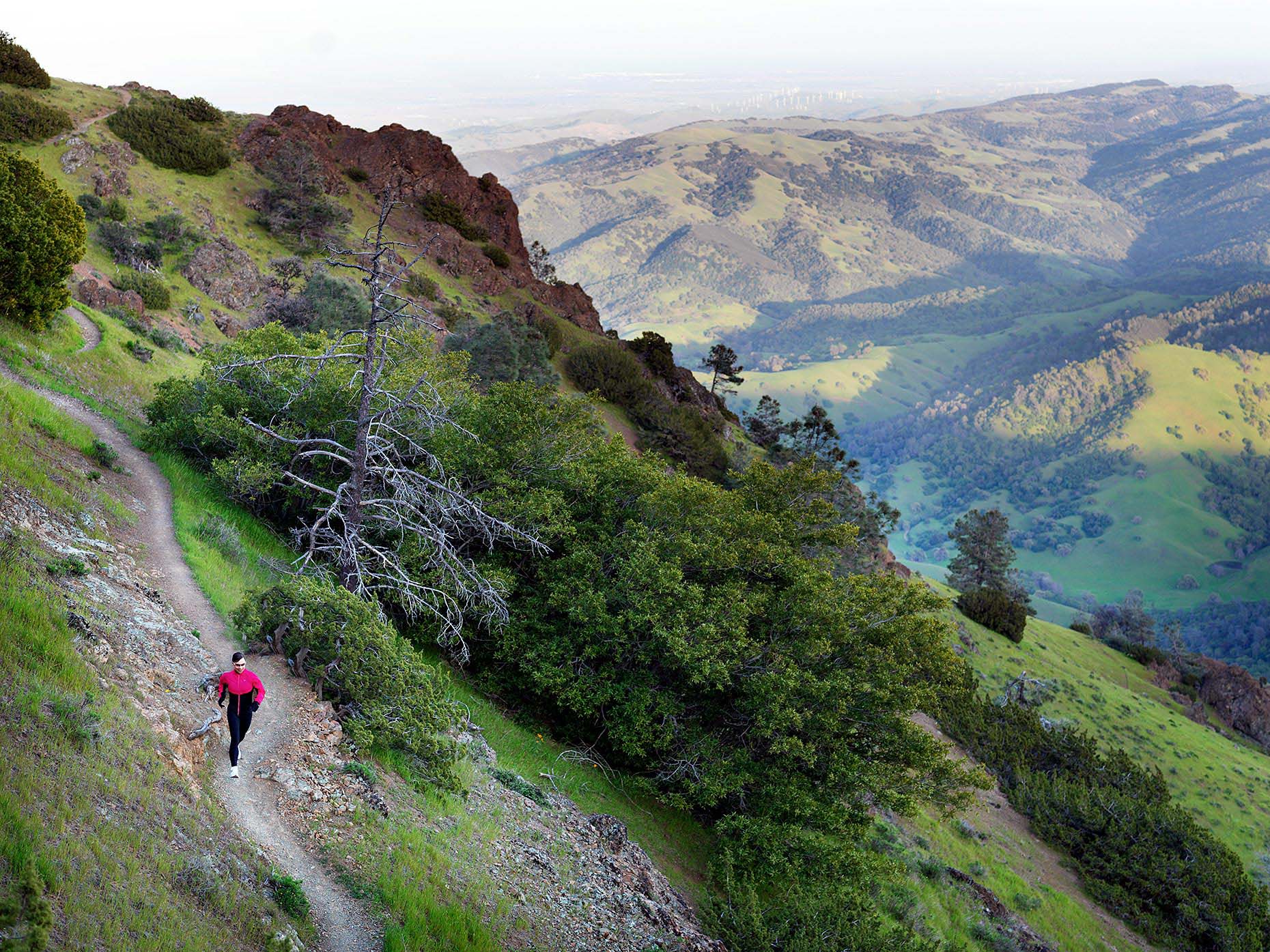MTN_Runner_card_1536