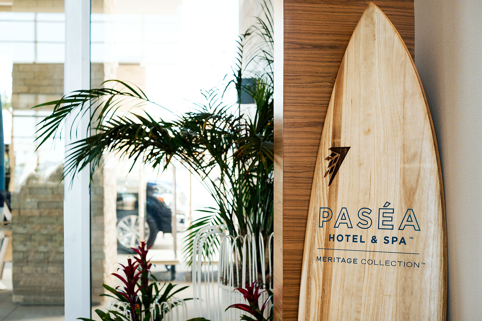 Pasea_Surfboard