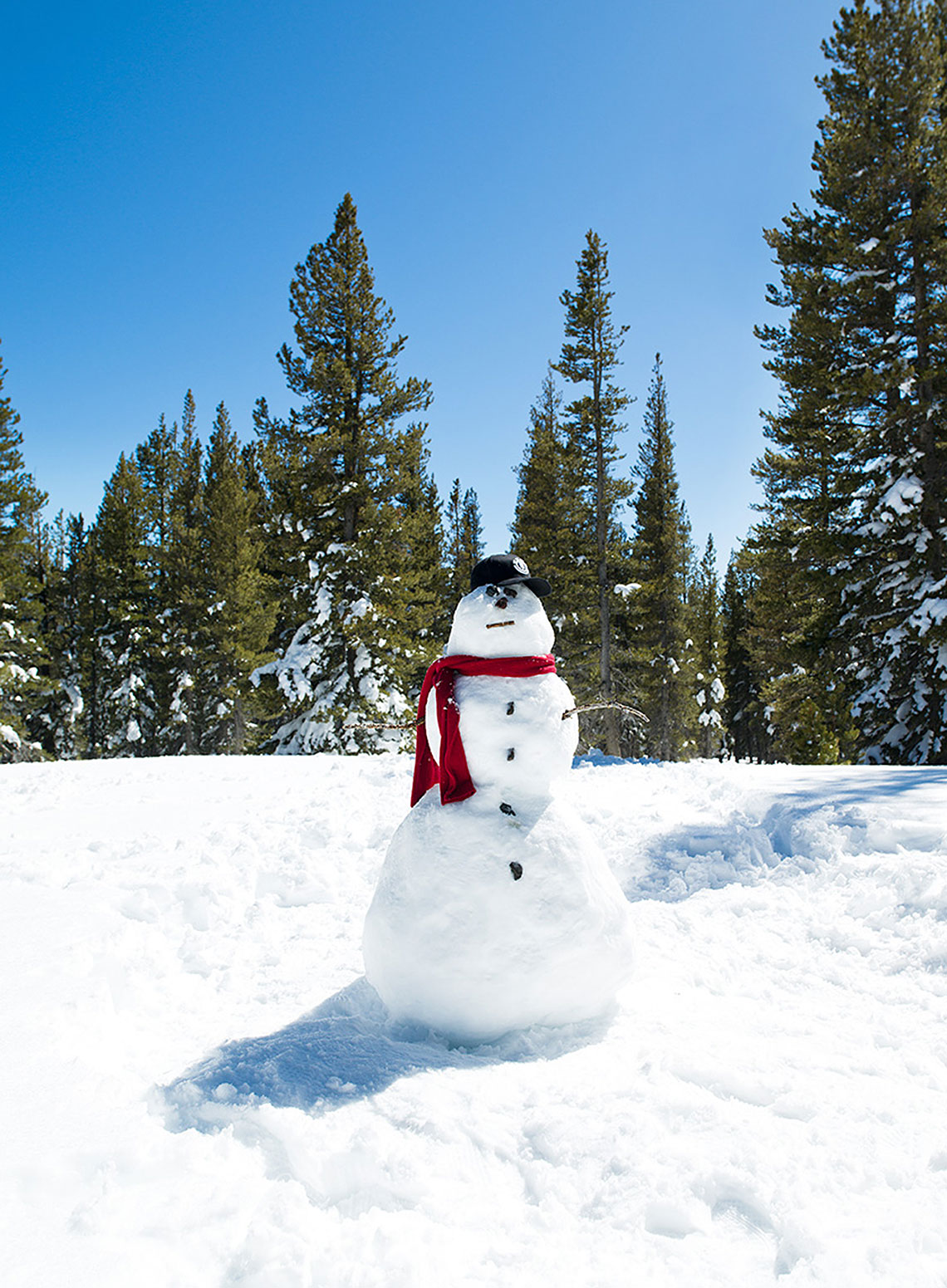 snowman